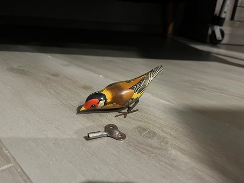 Uccellino latta carica a - latta,